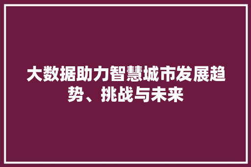 大数据助力智慧城市发展趋势、挑战与未来