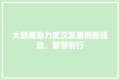 大数据助力武汉发展创新驱动，智慧前行