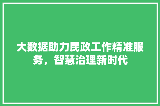 大数据助力民政工作精准服务，智慧治理新时代