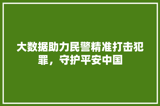 大数据助力民警精准打击犯罪，守护平安中国