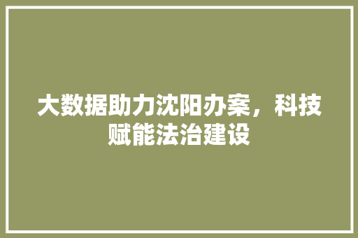 大数据助力沈阳办案，科技赋能法治建设