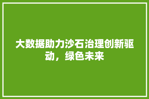 大数据助力沙石治理创新驱动，绿色未来