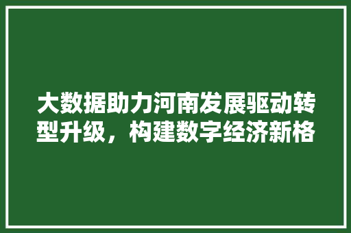 大数据助力河南发展驱动转型升级，构建数字经济新格局 服务器/数据库