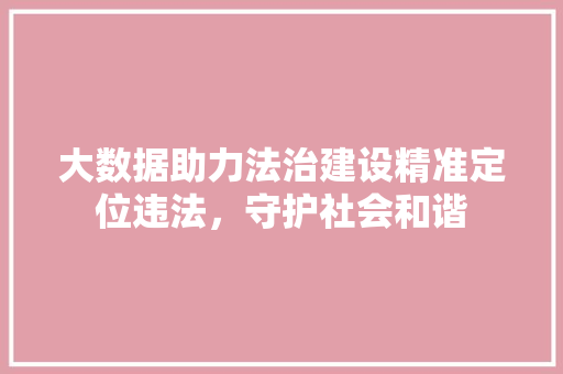 大数据助力法治建设精准定位违法，守护社会和谐