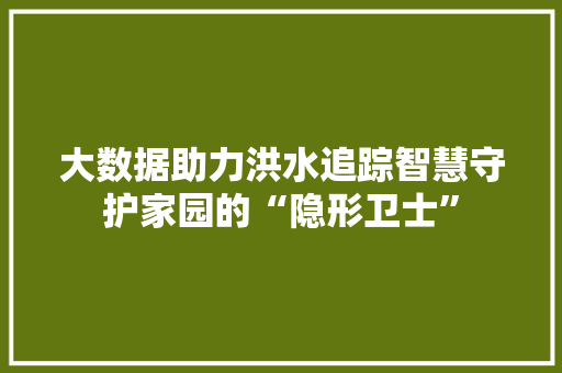 大数据助力洪水追踪智慧守护家园的“隐形卫士”
