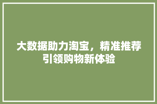 大数据助力淘宝，精准推荐引领购物新体验