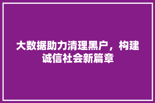大数据助力清理黑户，构建诚信社会新篇章
