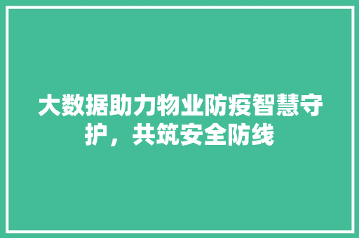 大数据助力物业防疫智慧守护，共筑安全防线 建站教程