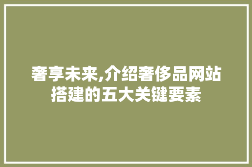 奢享未来,介绍奢侈品网站搭建的五大关键要素