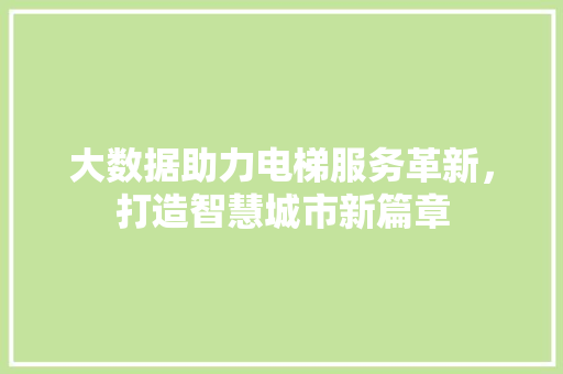 大数据助力电梯服务革新，打造智慧城市新篇章 友链在线