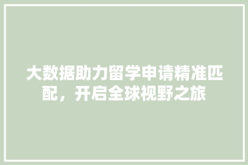 大数据助力留学申请精准匹配，开启全球视野之旅 WordPress教程