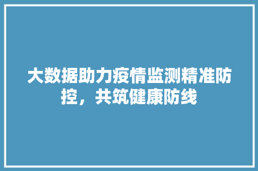 大数据助力疫情监测精准防控，共筑健康防线
