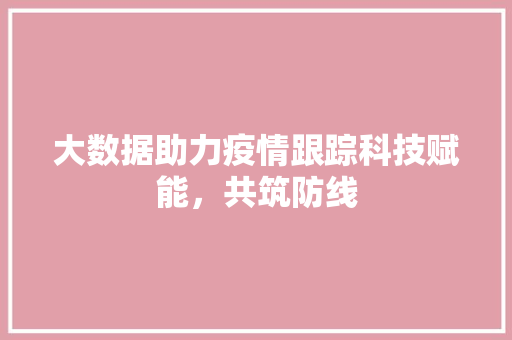 大数据助力疫情跟踪科技赋能，共筑防线
