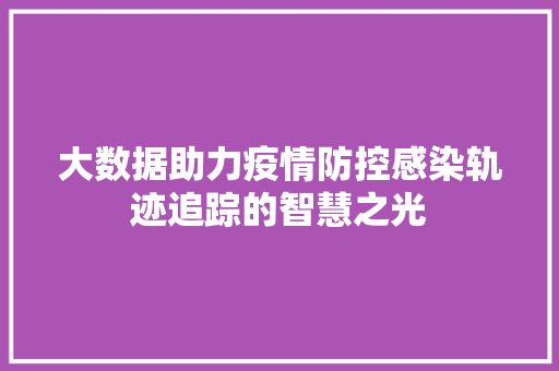 大数据助力疫情防控感染轨迹追踪的智慧之光