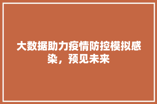大数据助力疫情防控模拟感染，预见未来
