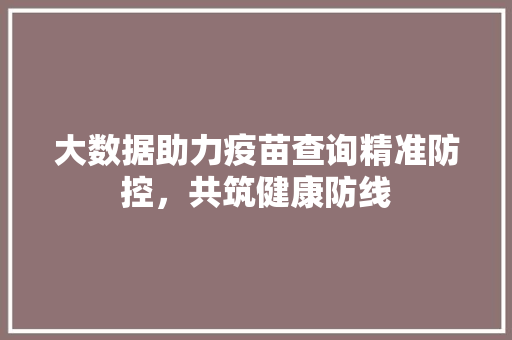 大数据助力疫苗查询精准防控，共筑健康防线