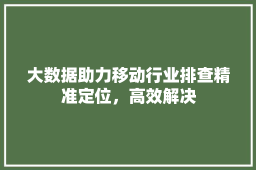 大数据助力移动行业排查精准定位，高效解决 建站教程