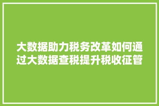 大数据助力税务改革如何通过大数据查税提升税收征管效率