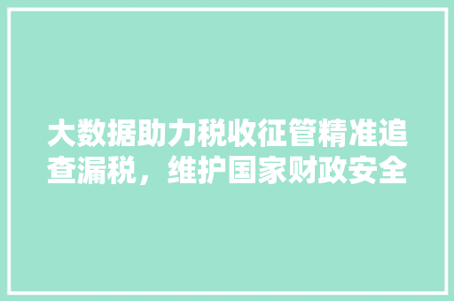 大数据助力税收征管精准追查漏税，维护国家财政安全