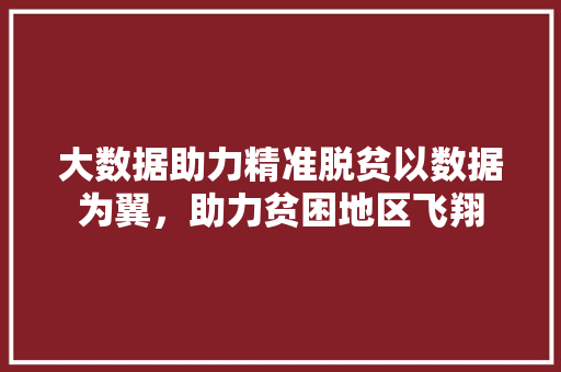 大数据助力精准脱贫以数据为翼，助力贫困地区飞翔