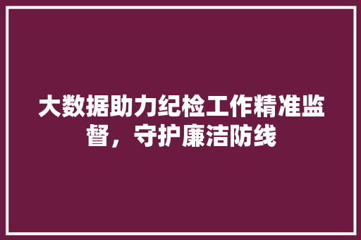 大数据助力纪检工作精准监督，守护廉洁防线