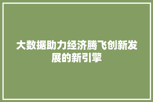 大数据助力经济腾飞创新发展的新引擎