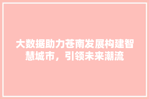 大数据助力苍南发展构建智慧城市，引领未来潮流