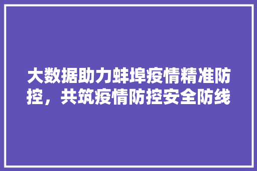 大数据助力蚌埠疫情精准防控，共筑疫情防控安全防线