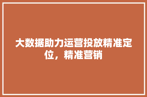 大数据助力运营投放精准定位，精准营销 WordPress教程
