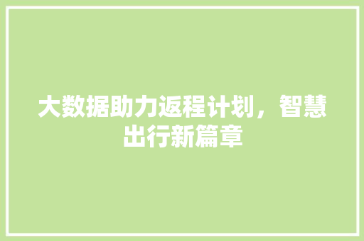 大数据助力返程计划，智慧出行新篇章