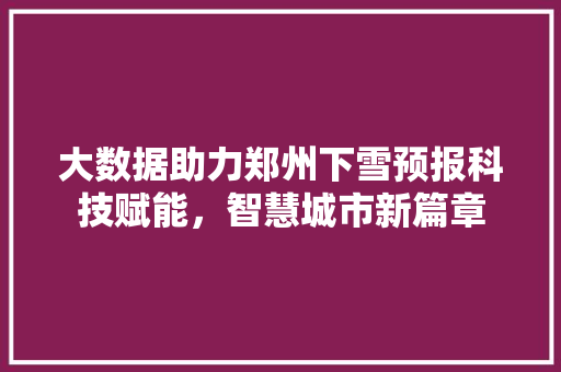 大数据助力郑州下雪预报科技赋能，智慧城市新篇章
