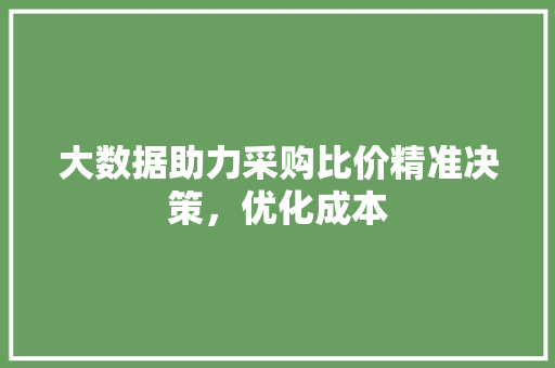 大数据助力采购比价精准决策，优化成本 WordPress教程