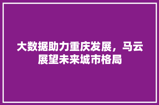 大数据助力重庆发展，马云展望未来城市格局