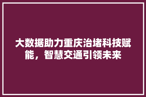 大数据助力重庆治堵科技赋能，智慧交通引领未来