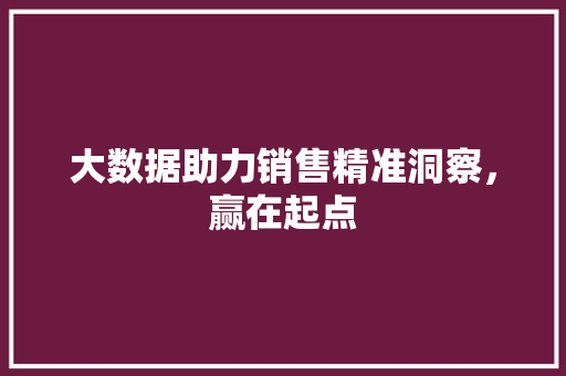 大数据助力销售精准洞察，赢在起点 WordPress教程