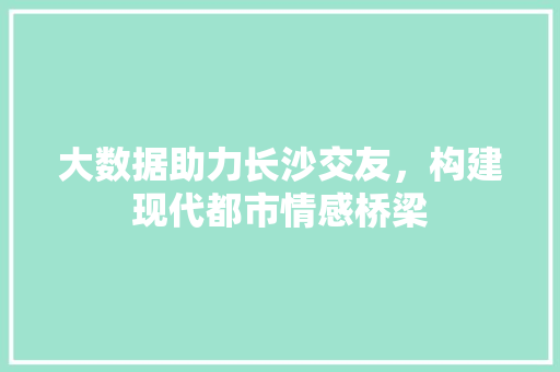 大数据助力长沙交友，构建现代都市情感桥梁