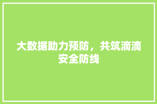 大数据助力预防，共筑滴滴安全防线