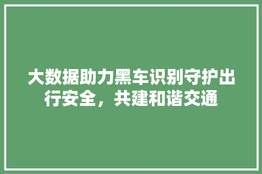 大数据助力黑车识别守护出行安全，共建和谐交通