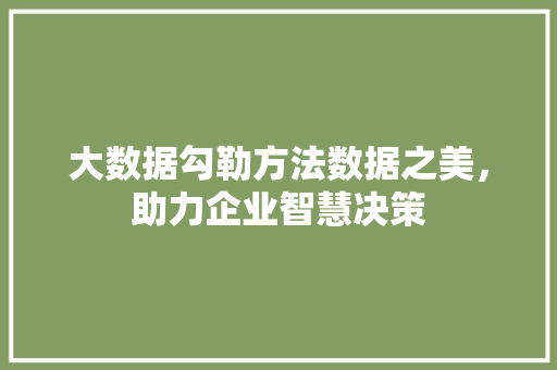 大数据勾勒方法数据之美，助力企业智慧决策