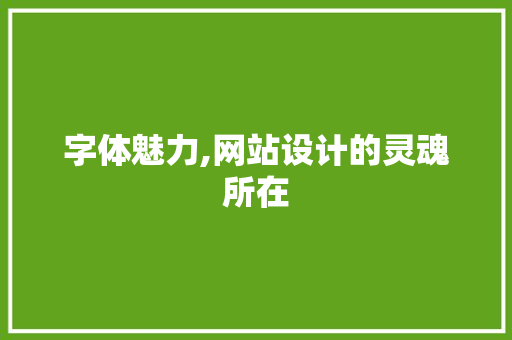 字体魅力,网站设计的灵魂所在