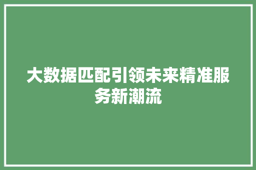 大数据匹配引领未来精准服务新潮流