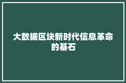 大数据区块新时代信息革命的基石