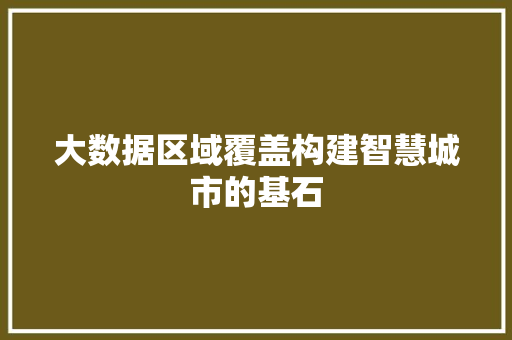 大数据区域覆盖构建智慧城市的基石