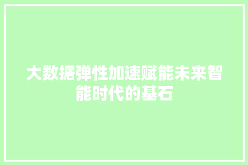 大数据弹性加速赋能未来智能时代的基石