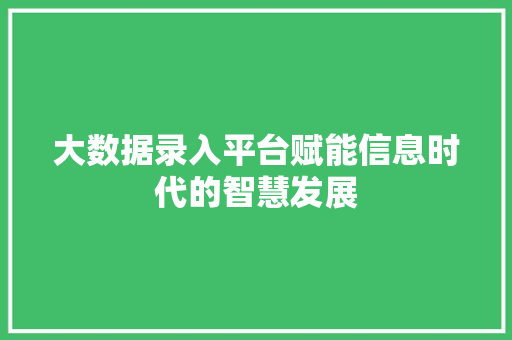 大数据录入平台赋能信息时代的智慧发展