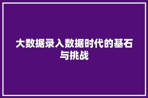 大数据录入数据时代的基石与挑战