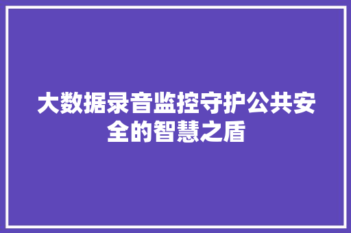大数据录音监控守护公共安全的智慧之盾