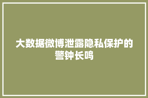 大数据微博泄露隐私保护的警钟长鸣