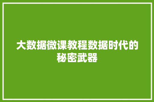 大数据微课教程数据时代的秘密武器