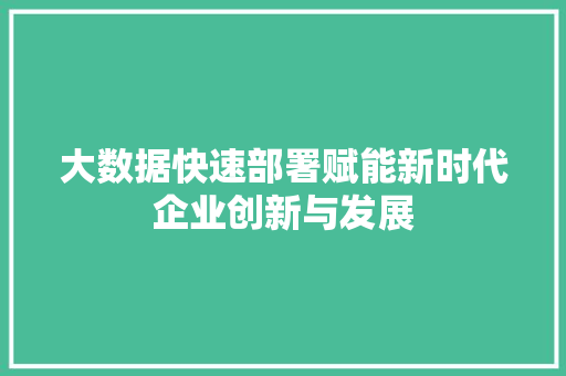 大数据快速部署赋能新时代企业创新与发展